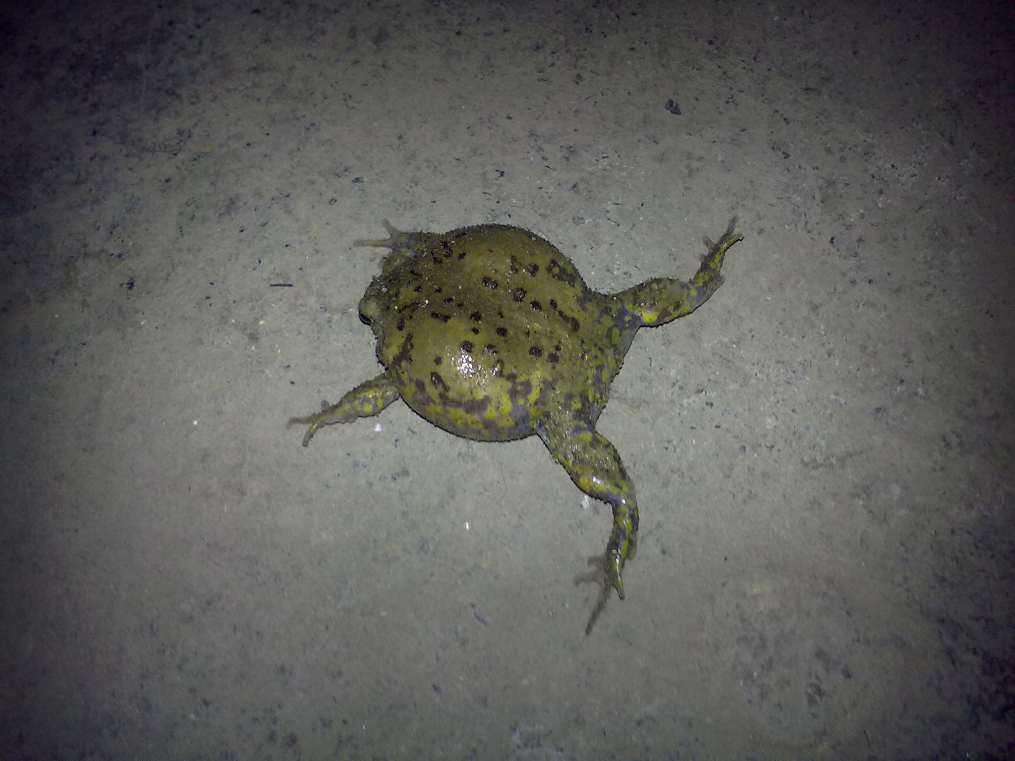 乡愁的散文,乡愁老屋散文