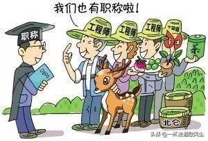 职称论文评分细则和分值,职称评审的必备条件是否是打分项