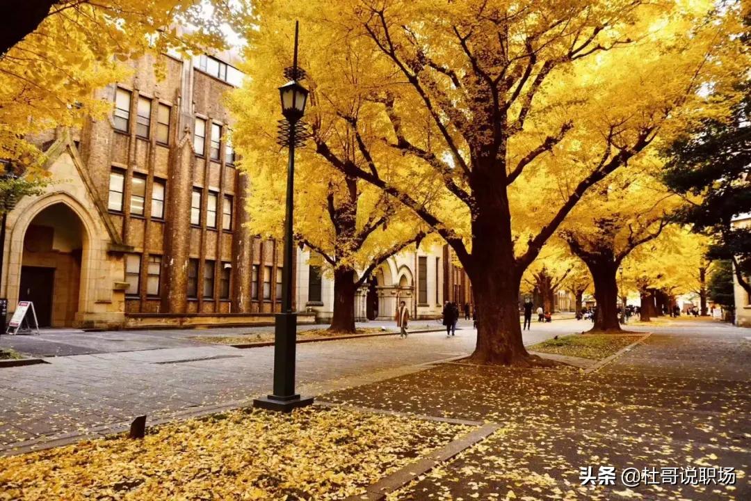 日语学习和英语学习哪个难,日语学习如何知道中文意思