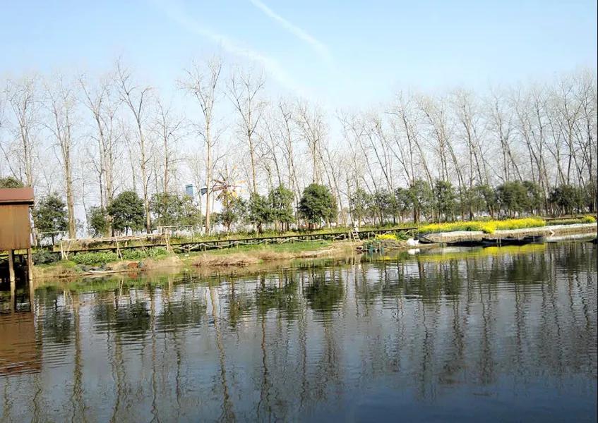 李白十首恐怖诗句,唐诗十首李白行路难