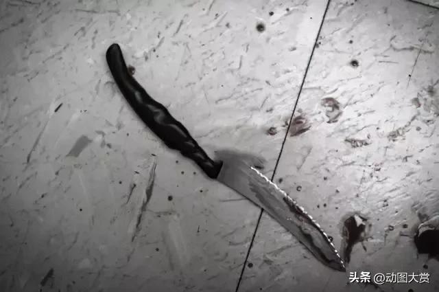 12年杀人烹尸案,重案六组两兄弟分尸