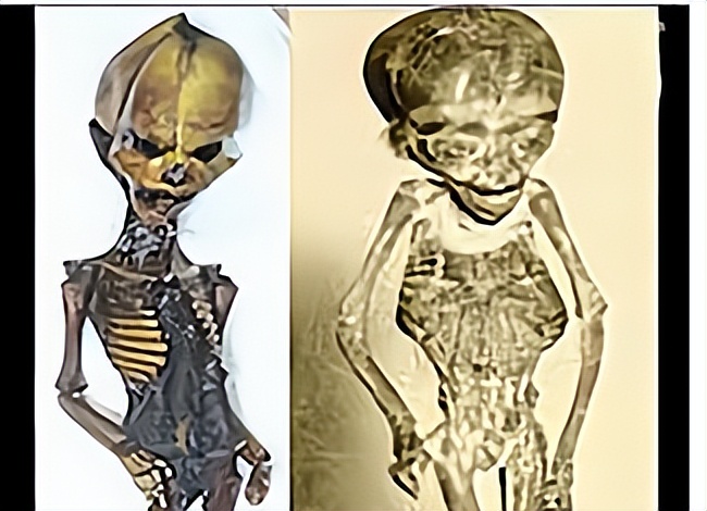 原始人是哪的,山顶洞人是猿人还是原始人