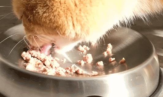 猫咪吃饭眼泪汪汪,猫咪吃饭流眼泪是为什么