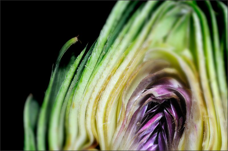 蔬菜之皇菜谱大全,一种蔬菜的名字叫朝鲜蓟