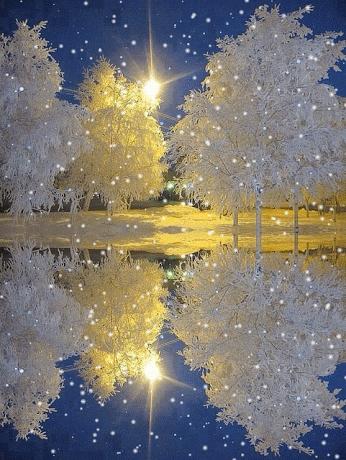 今日大雪飘落诗词,今日大雪优美句子