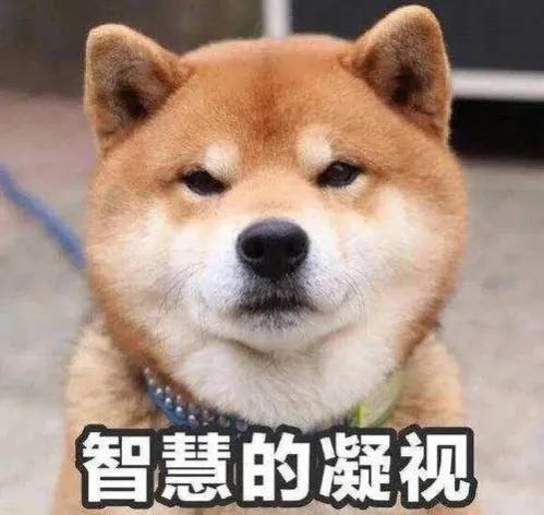 百度大数据如何营销,百度全网精准营销