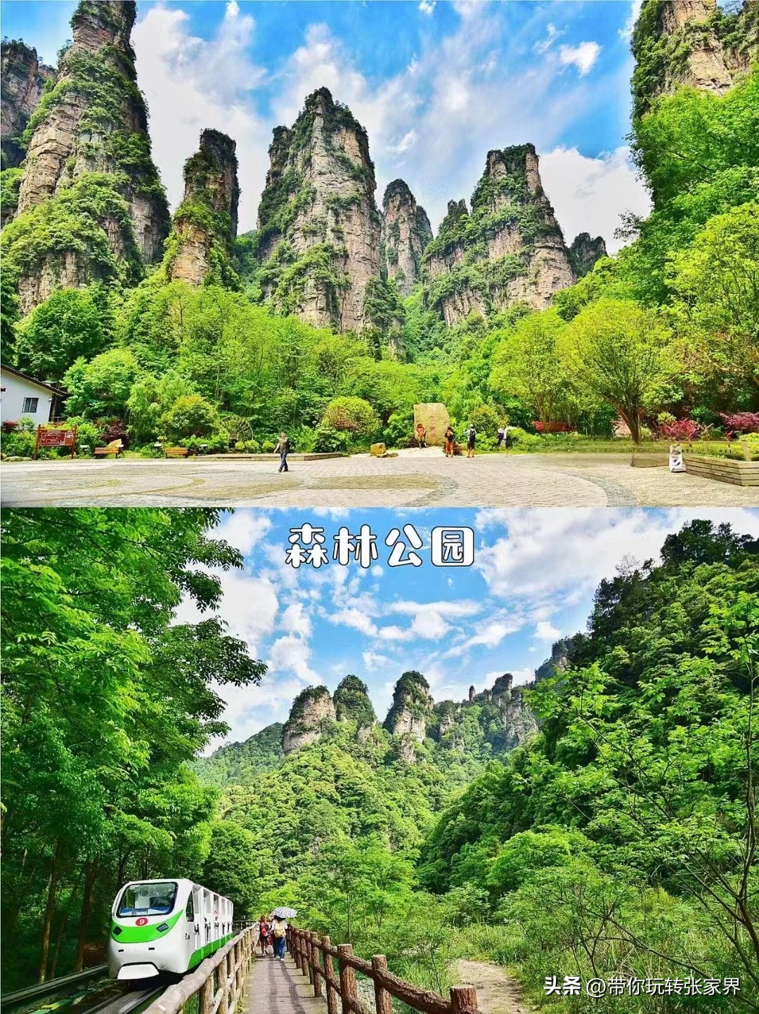 张家界凤凰古城芙蓉镇自驾游攻略,湘西凤凰古城3天2晚游玩攻略文字