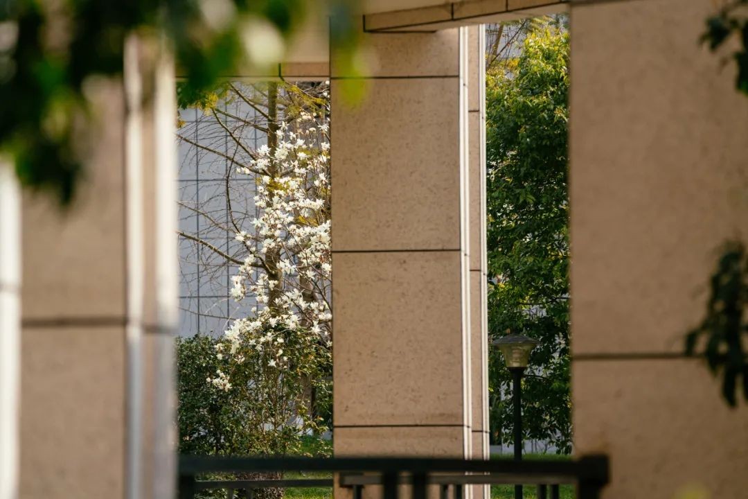 美美美，在阳光灿烂的成电遇见你~