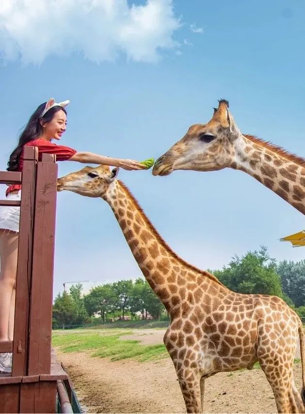 2023县域旅游百强榜各省份排名,2021县域旅游100强排行榜