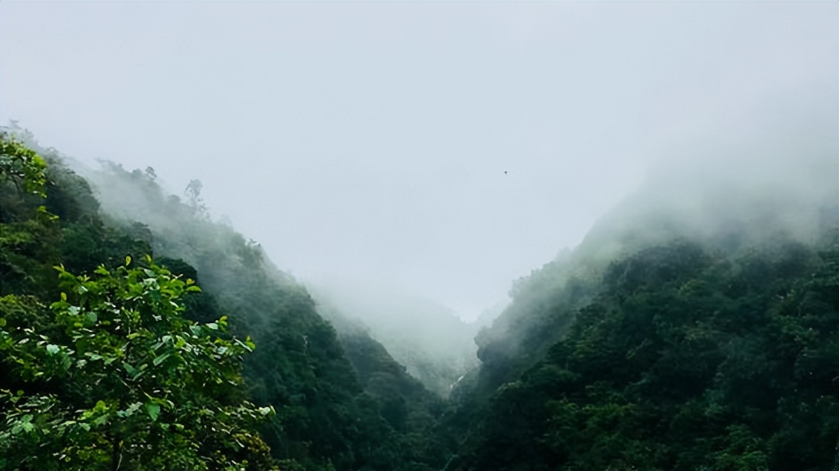 好文分享经典短文,10首最好听的日语歌曲