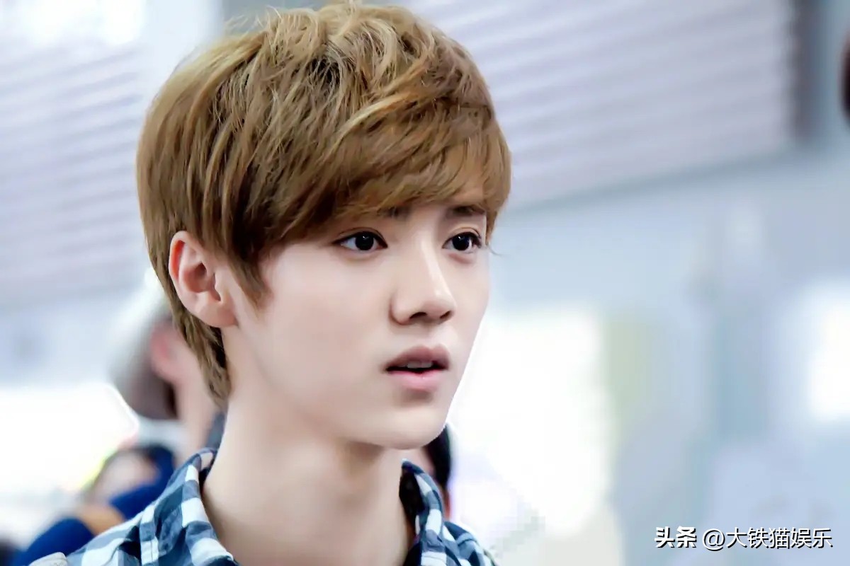 娱乐圈公认的五大帅哥,娱乐圈十大最美帅哥