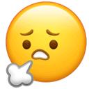 音乐最新资源库,音乐资源网站链接最新