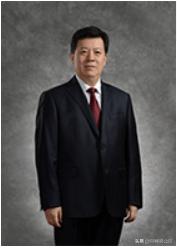 中国人民保险集团股份有限公司,2024年中国保险500强排名