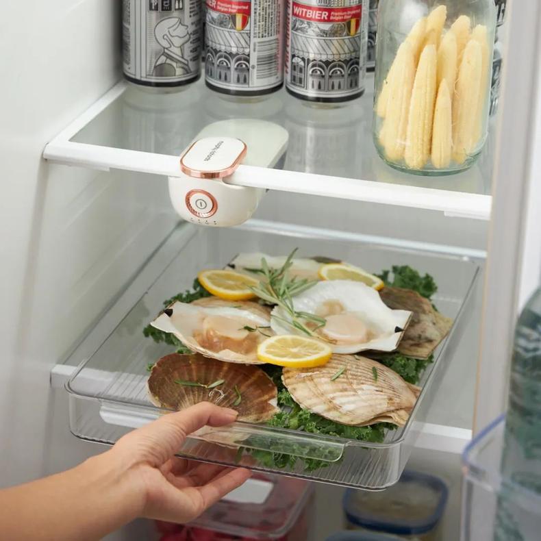 冰箱有异味6个办法轻松去除,冰箱放五毛钱可以去异味是真的吗