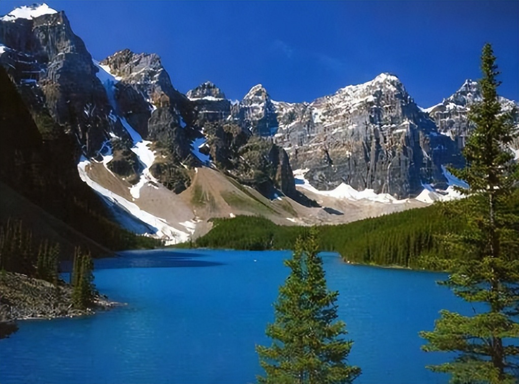 新西兰的自然资源条件,新西兰对自然环境的保护