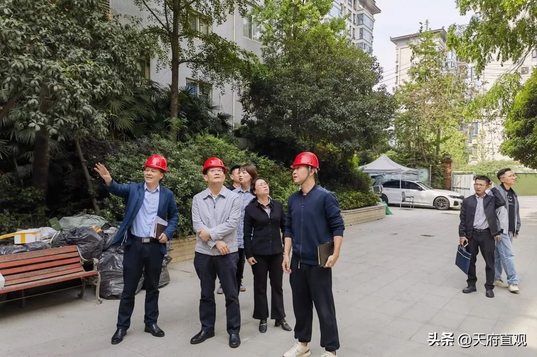 武侯区民政局领导班子,成都民政局领导班子