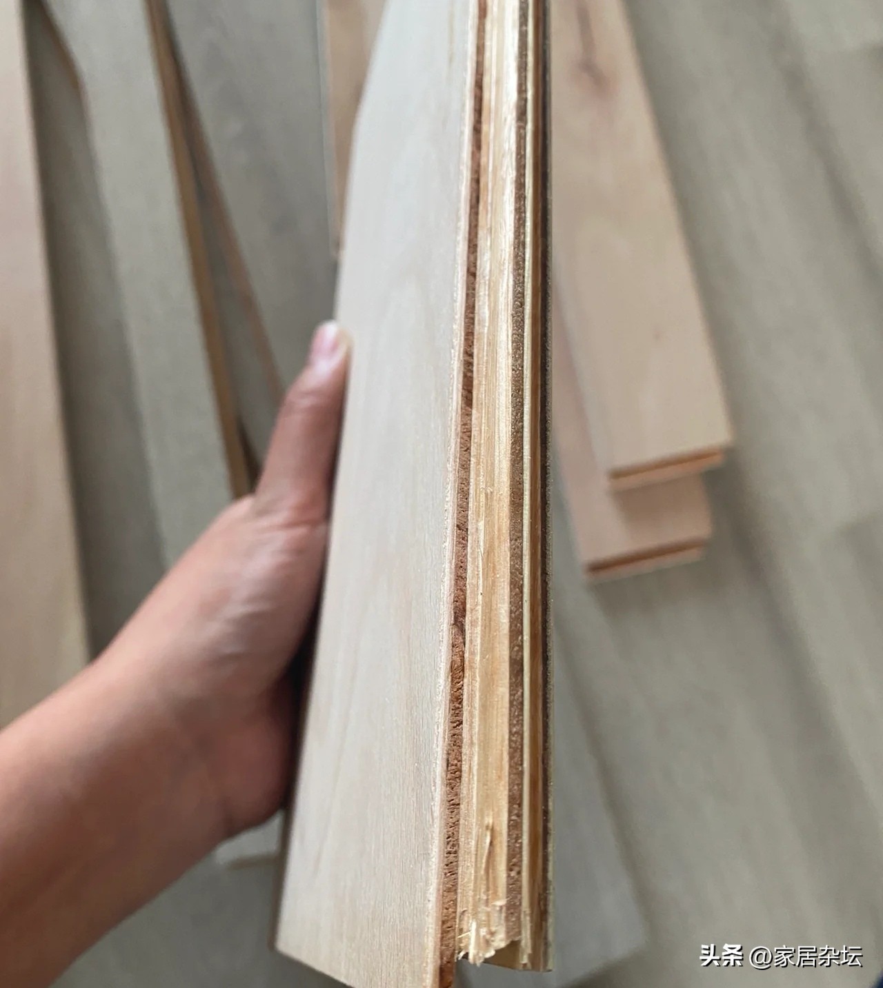 木地板有50元到1500元/平米的，不能“混为一谈”，分清这5种再买