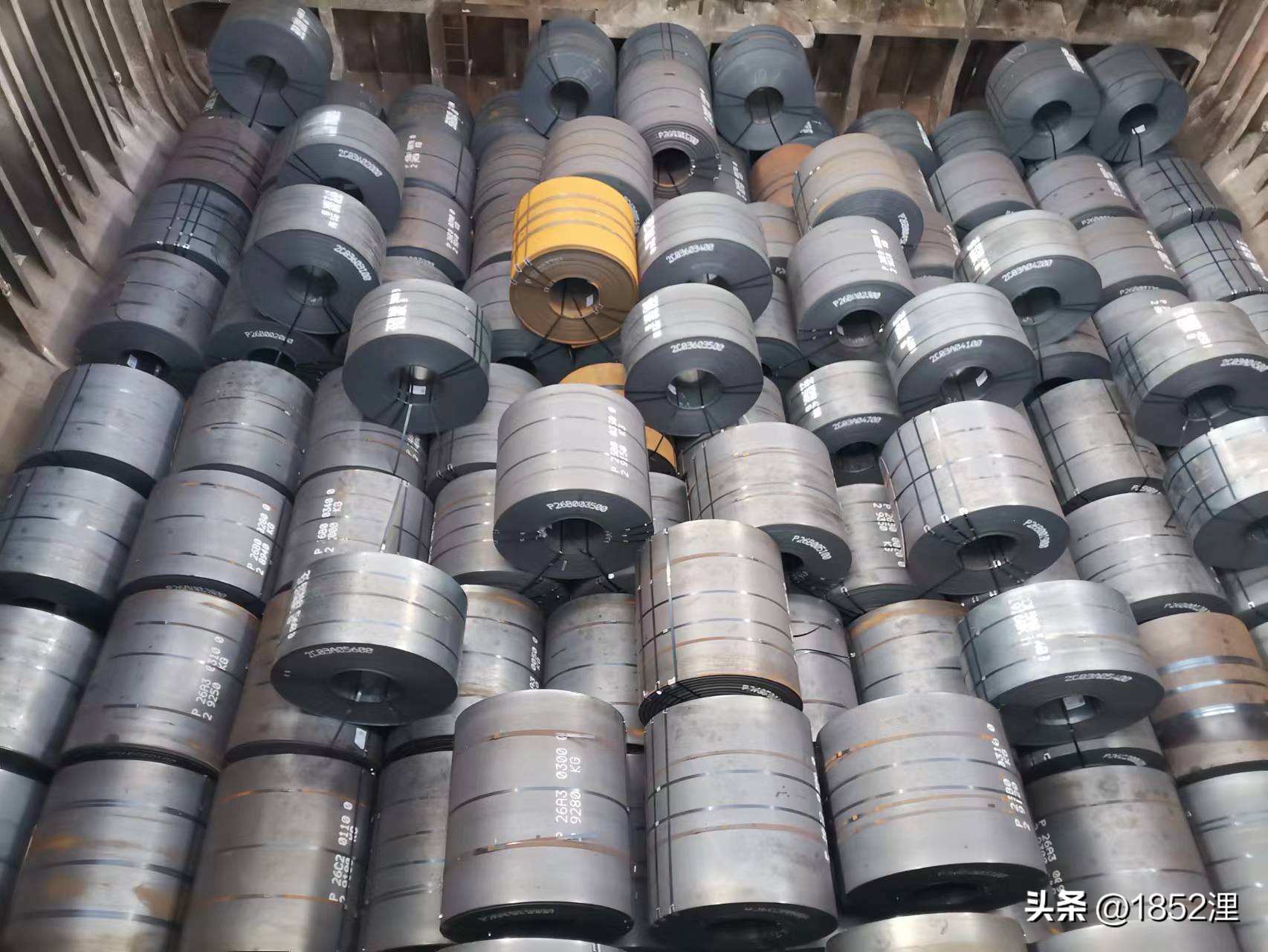 有什么是你来到上海后才意识到的,如果你去过日本你的感受是什么