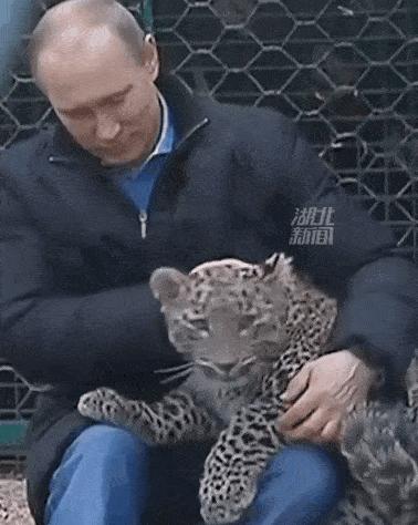 普京空手道黑带九段,普京跆拳道黑带9段