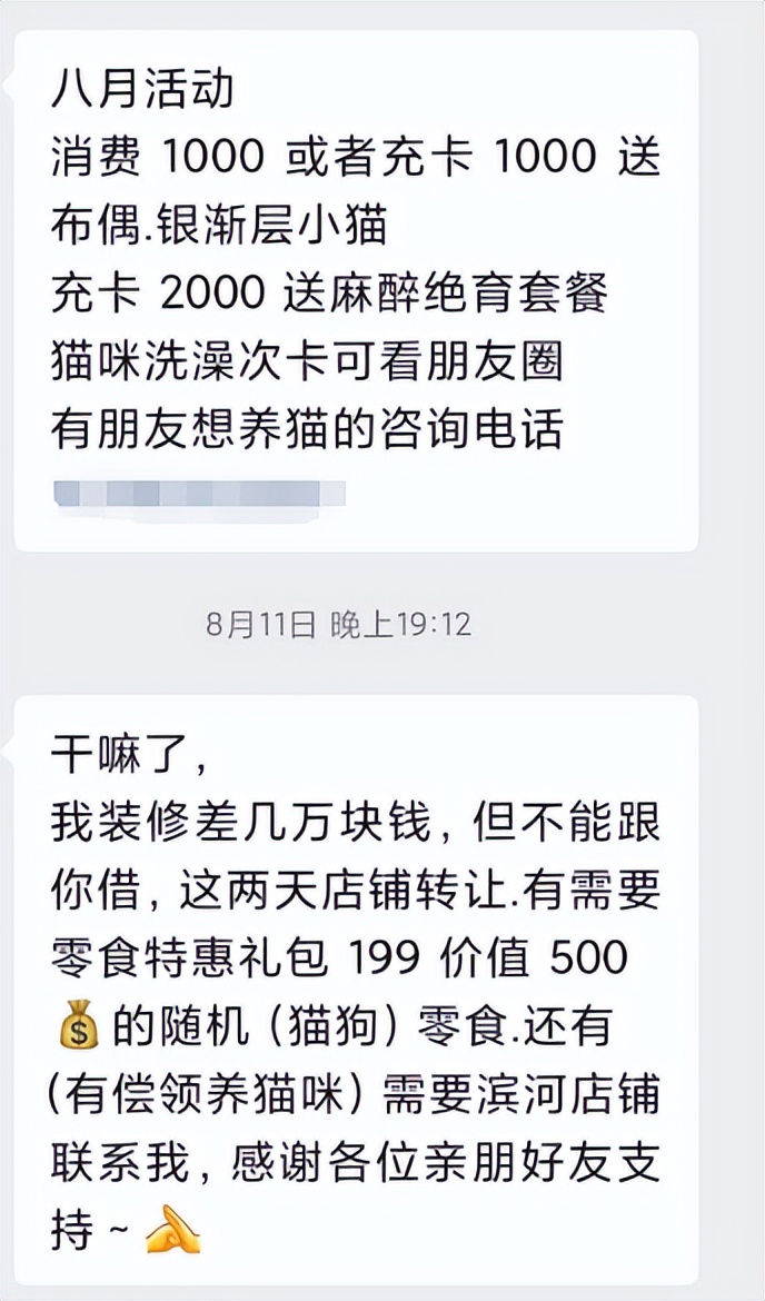 宠物市场的底层逻辑,关于宠物市场的市场分析