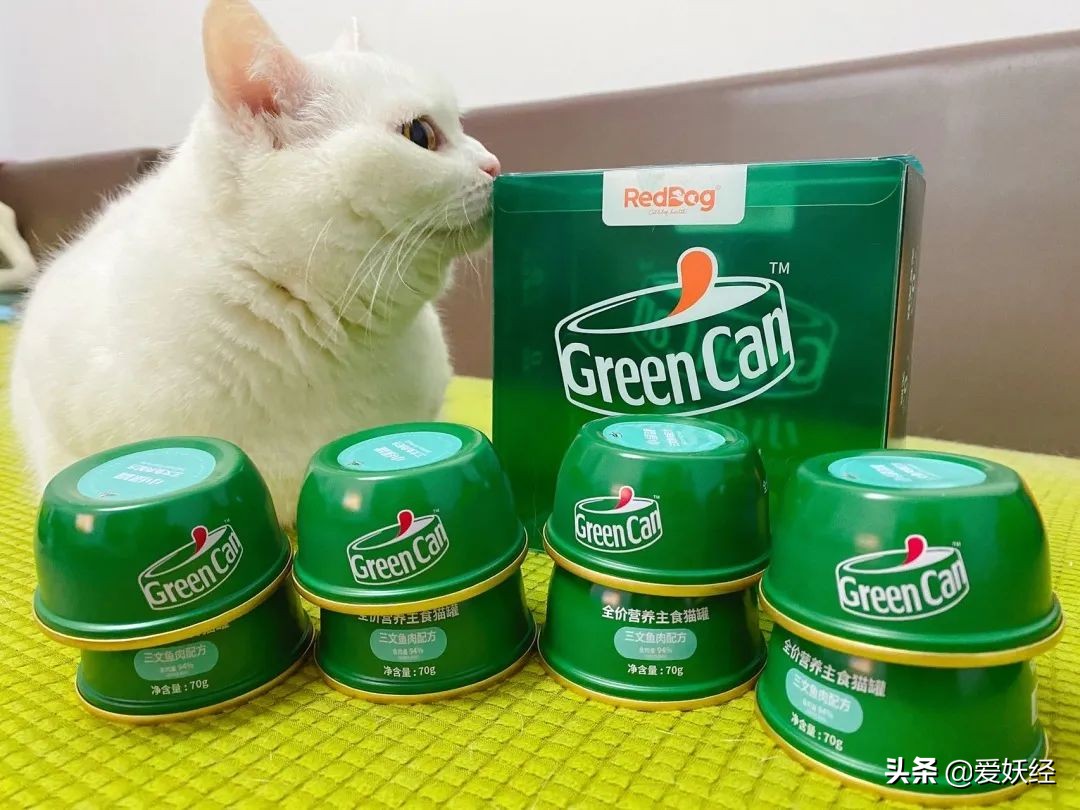 红狗小绿罐怎么样,月销量1000算不算冷门车