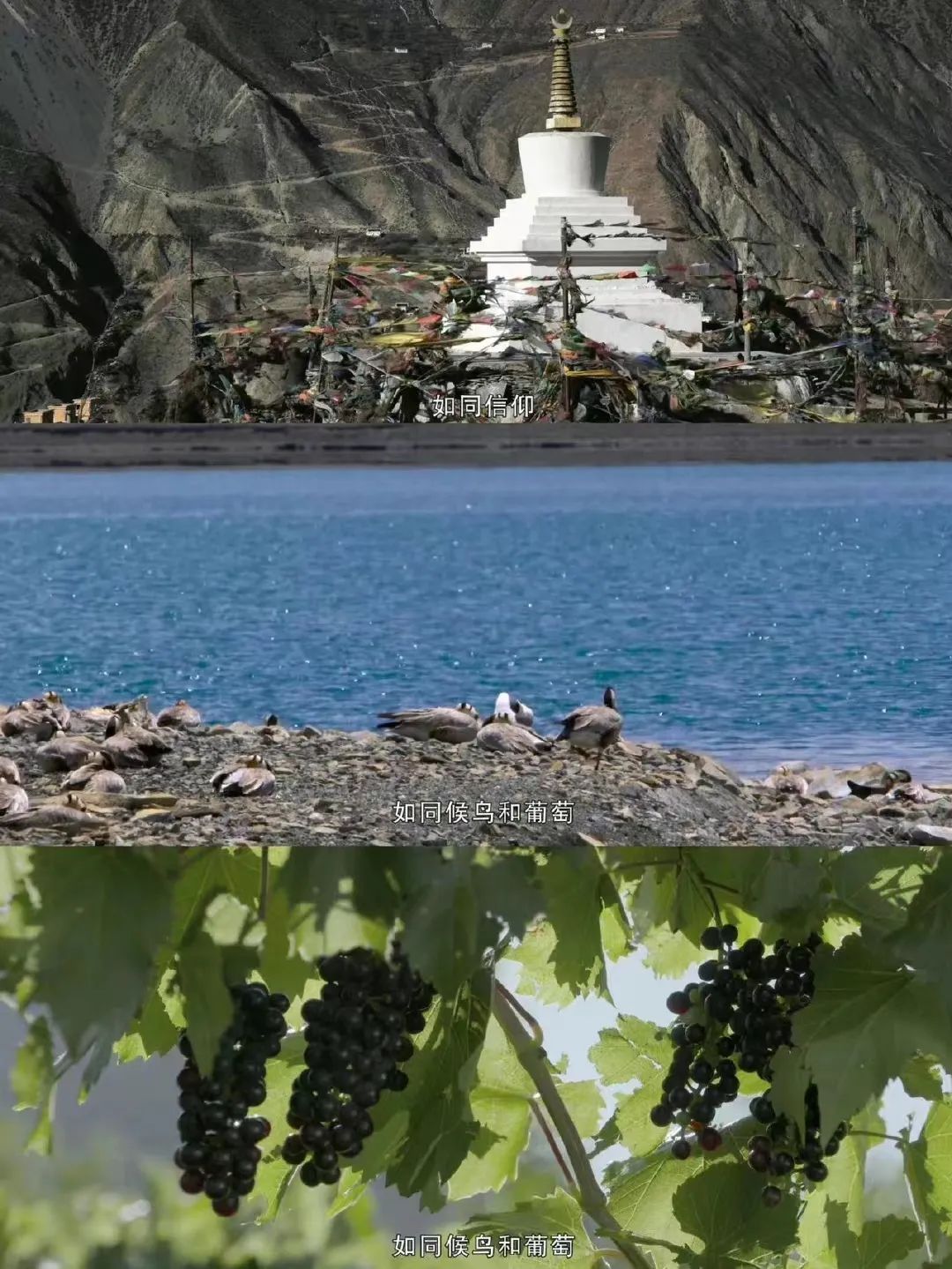 纪录片藏北无人区,几部西藏纪录片