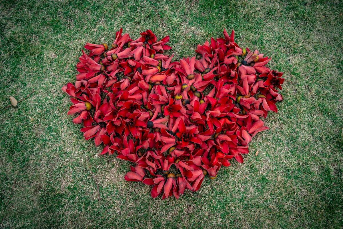 最新全球幸福指数：瑞士第8，巴西第49，中国第64，南非第85