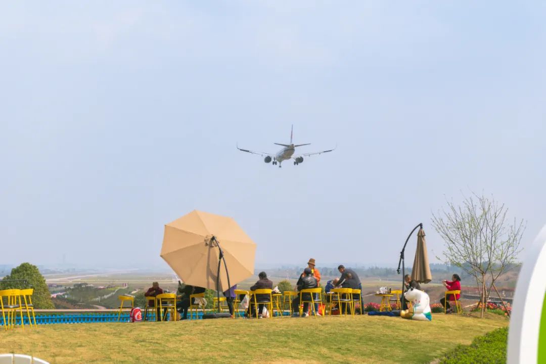 踏青露营地推荐,空港花田古朴森林露营地