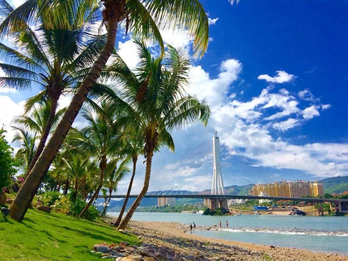 导游杨卫东,杨卫东安吉照片