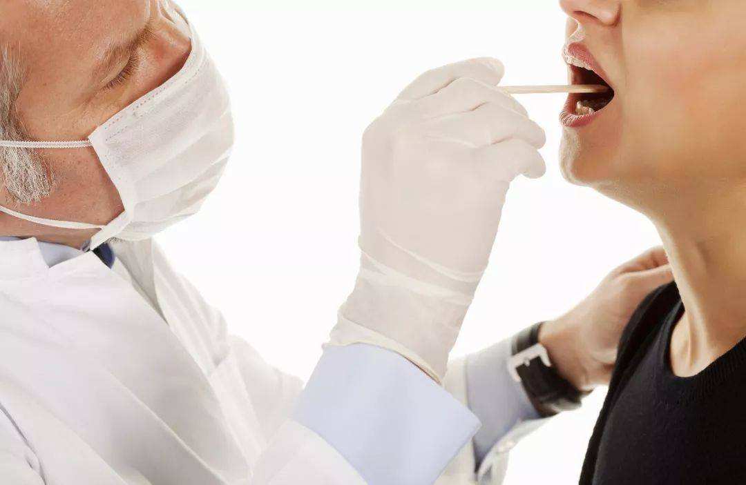 鲫鱼最爱吃的十种食物,大鲫鱼怎么做不用挑刺