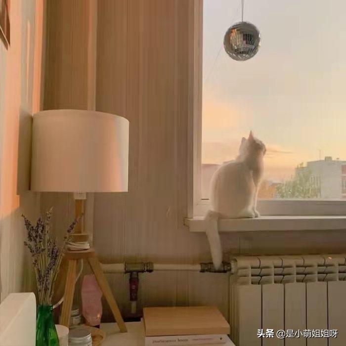 听说你也想要写作搞钱，家庭主妇、全职宝妈顾家同时也可以有收入