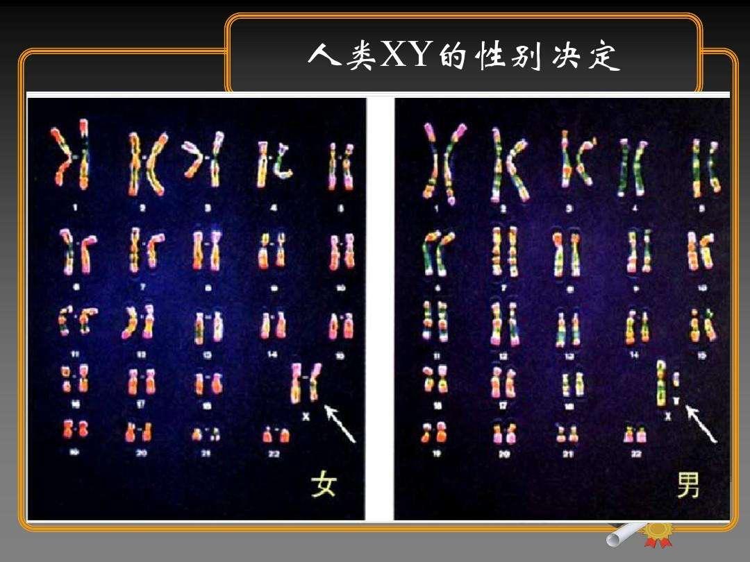 转胎丹吃了女变男后续,吃了转胎丹的效果