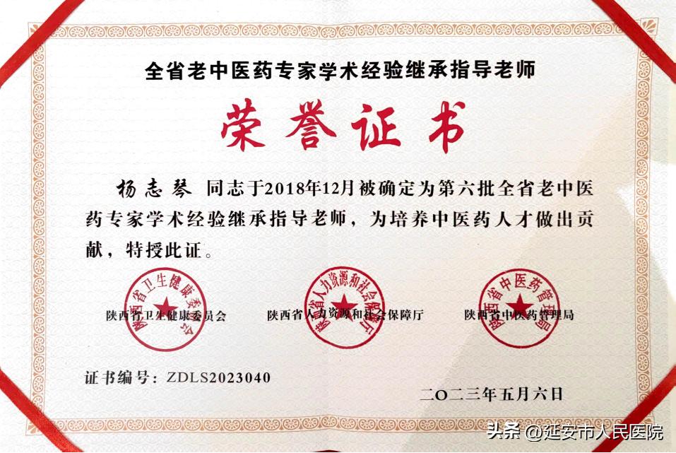 杨志琴医生,中医杨志琴