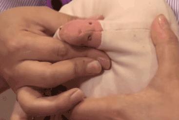 什么是开奶催奶,什么是开奶功能