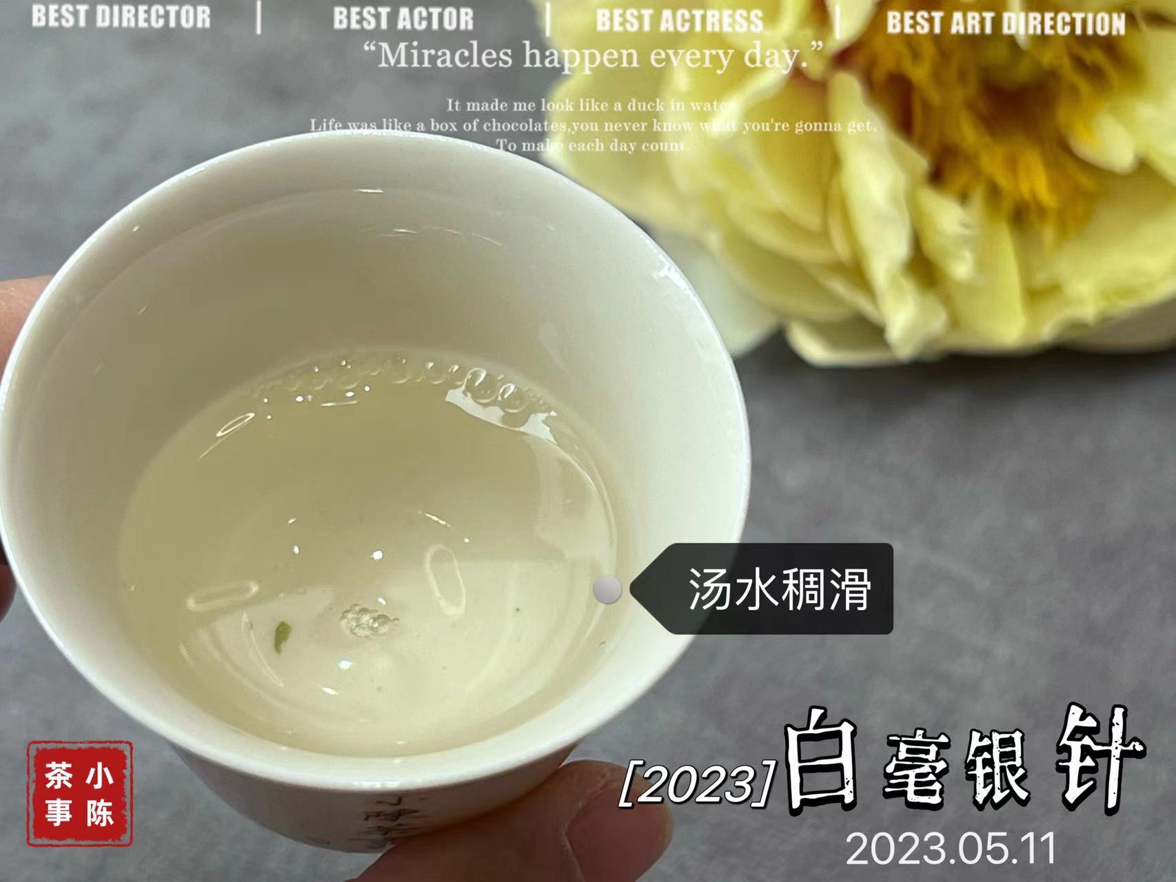 1斤白茶要多少斤青茶,一斤白茶需多少茶青