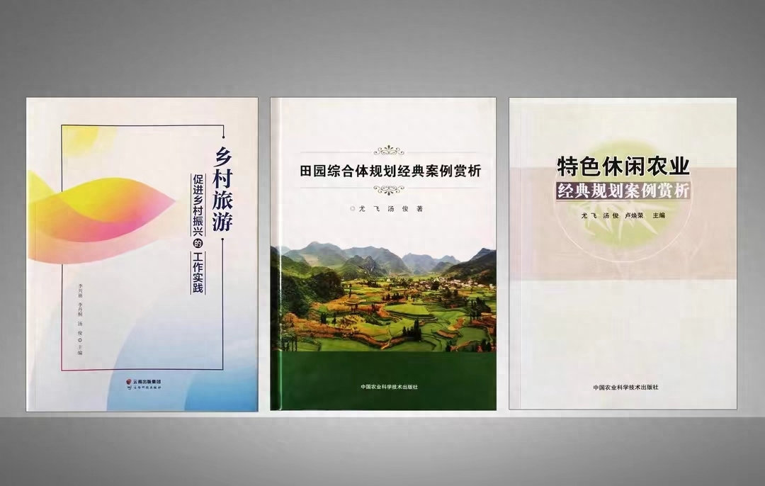 乡村旅游项目审批流程,乡村旅游项目计划书风险分析