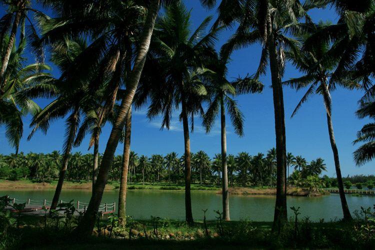 文昌到三亚自驾游攻略,海南文昌出发旅游攻略路线