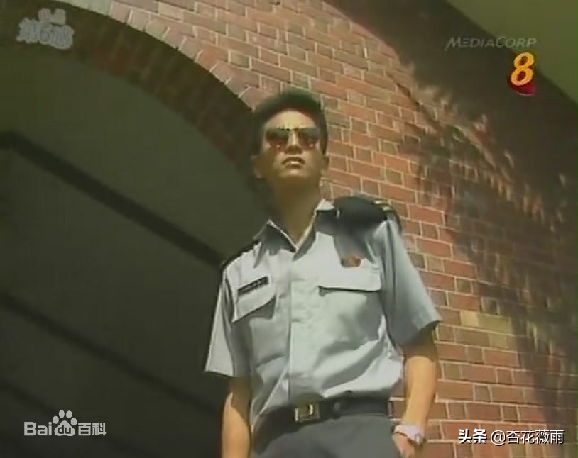 这些新加坡电视剧你都看过了吗,推荐新加坡经典老电视剧