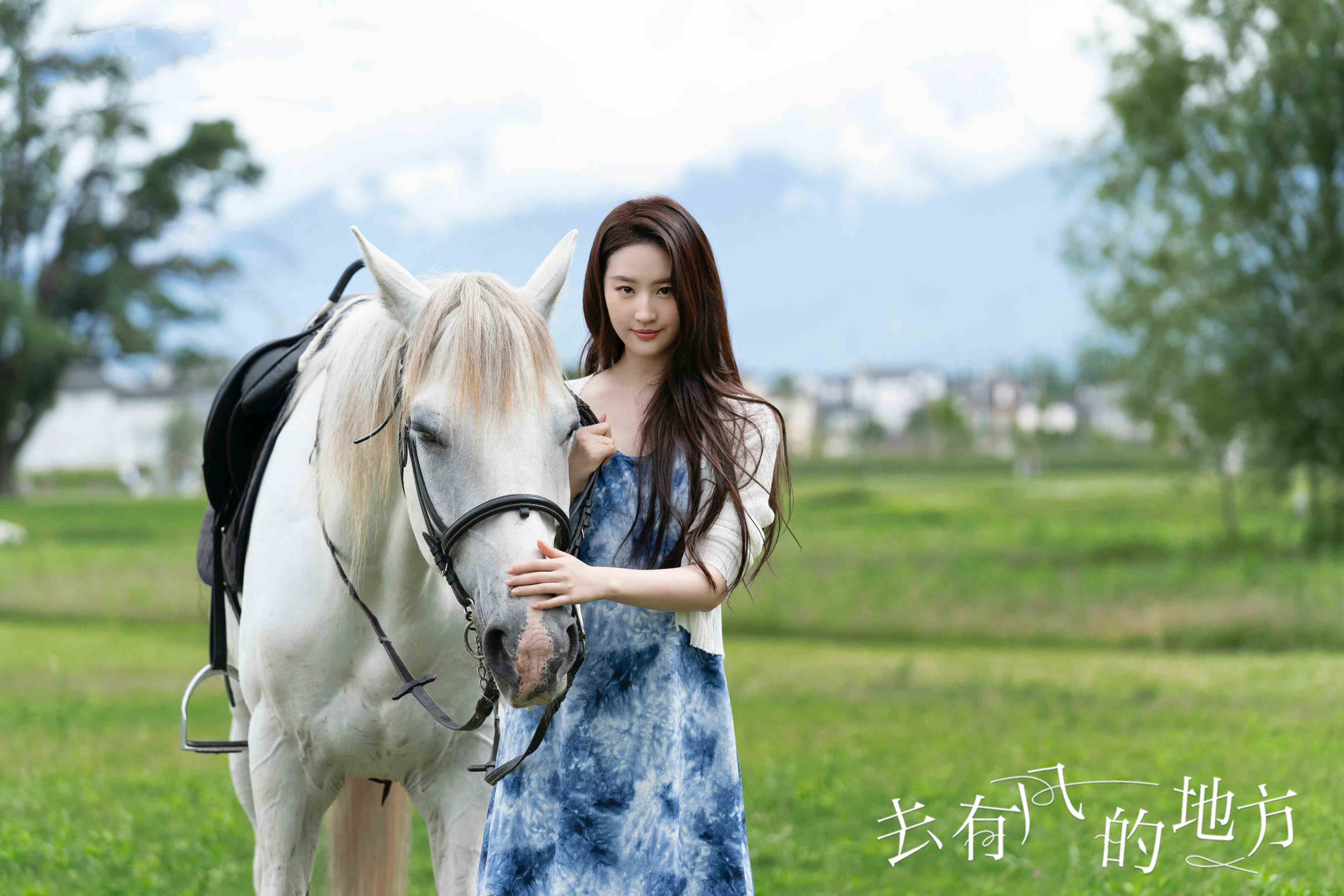 2023年最值得看的几部剧,2023年评分最高十部剧