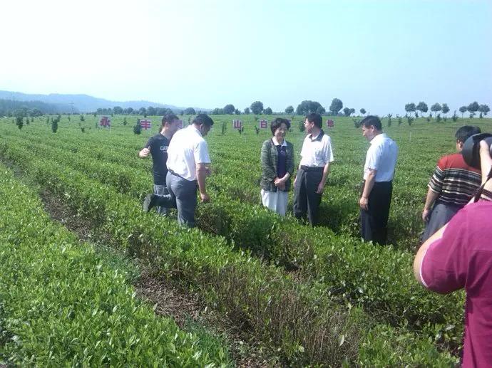 老赵的家庭农场