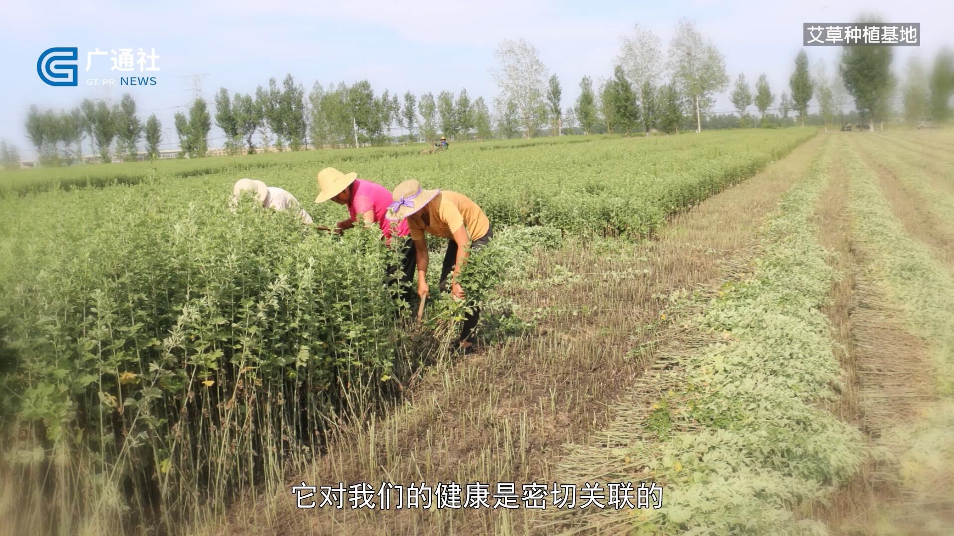 广东新焦点2024,广州新焦点新闻