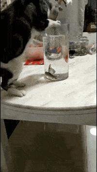 网恋奔现大型翻车纯属尴尬,网恋奔现兄弟们这算翻车吗