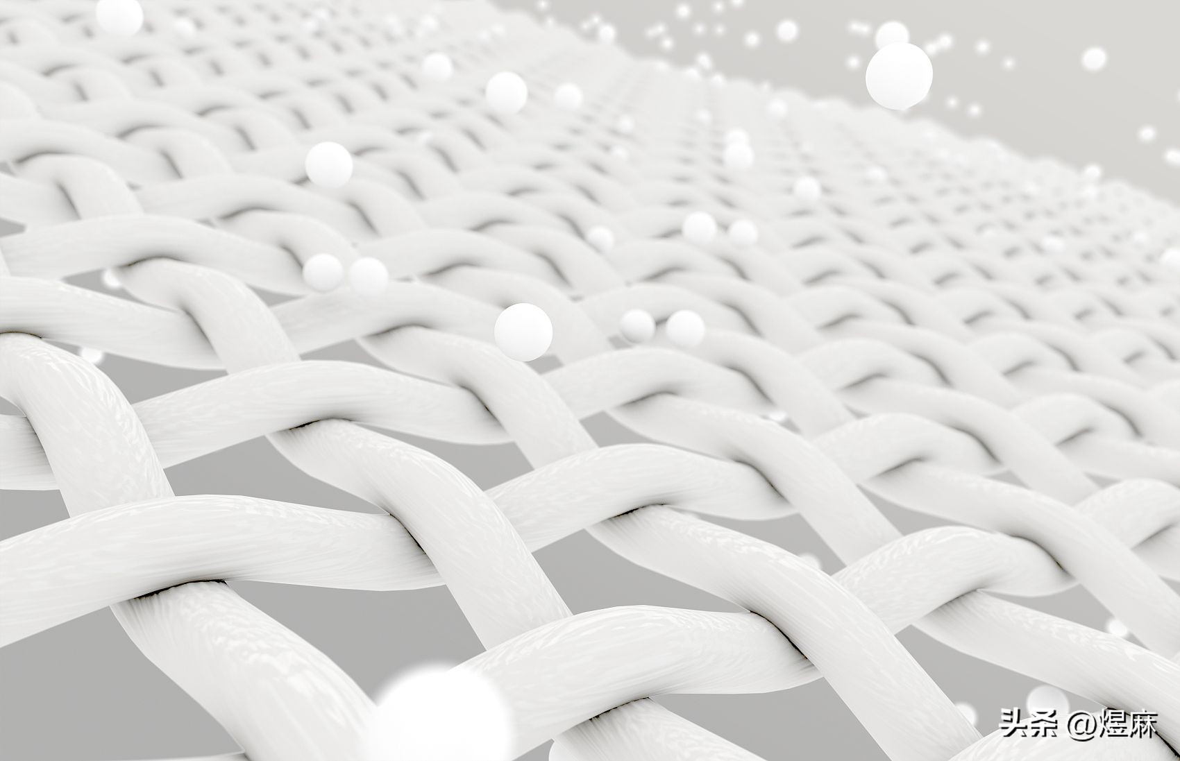 感性还是理性：选择煜麻的四个理由