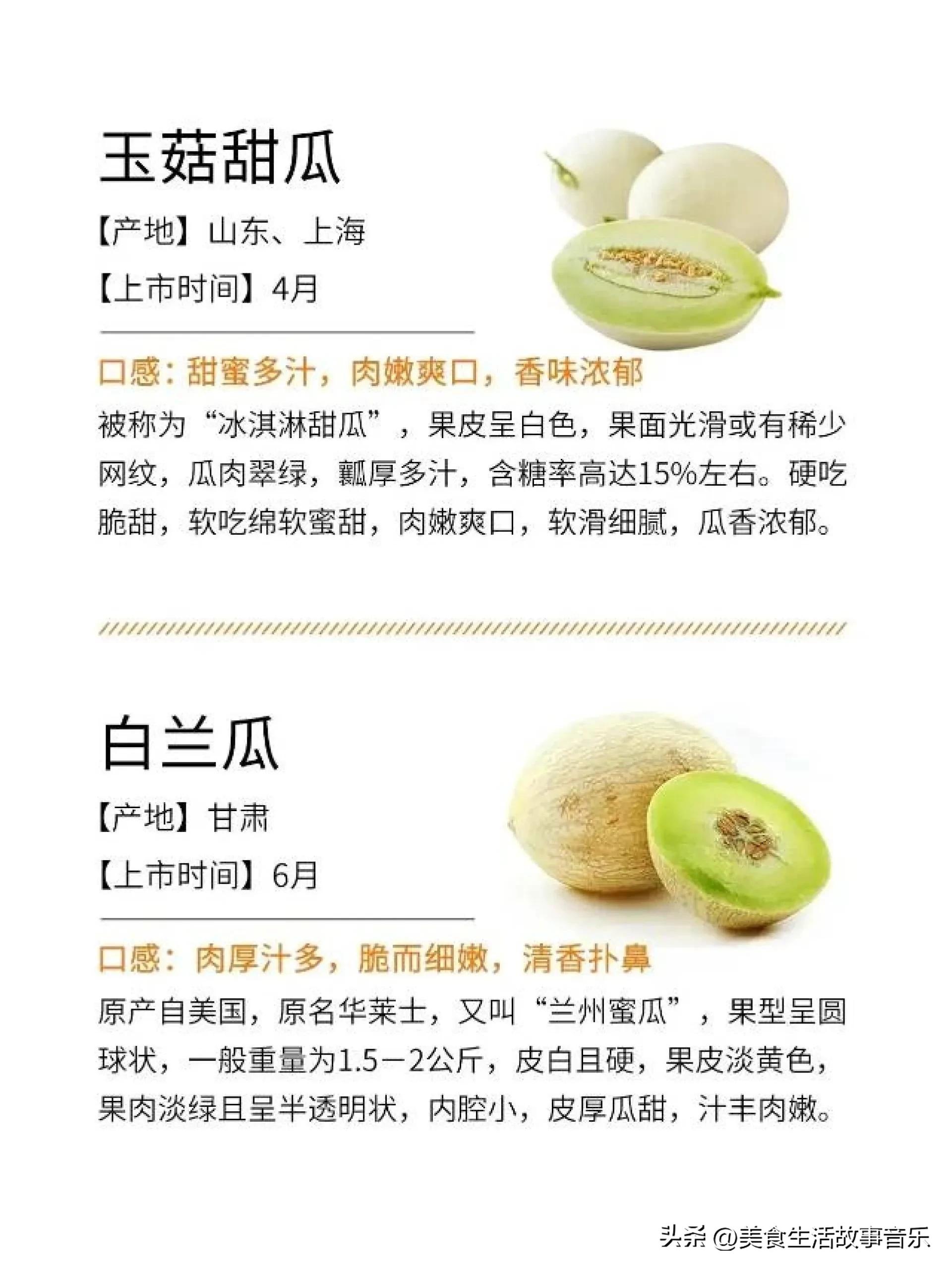 甜瓜熟度最好的品种,甜瓜品种科普图解