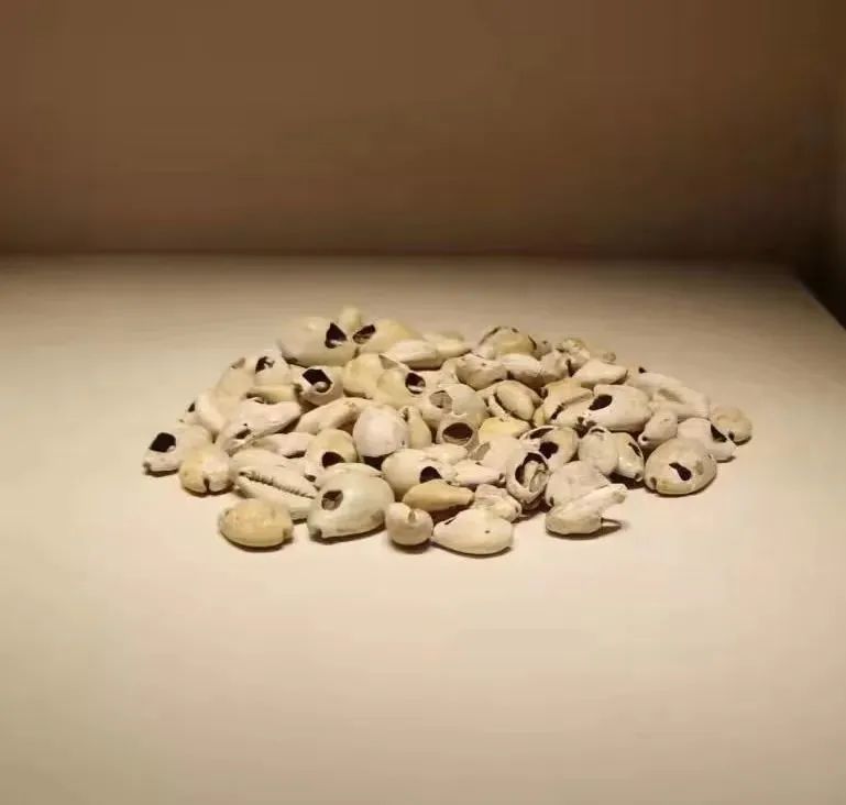 涓浗濂冲皢鍐涘涓彂鐜颁竴绉嶉櫔钁搧,鍟嗘湞濂冲皢鍐涘鍙戞帢