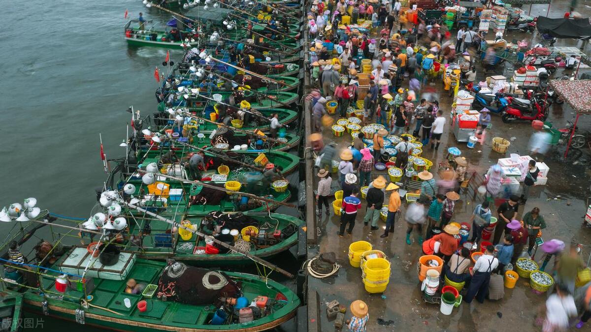 海南澄迈红树湾定居真实感受,外地人感受海南人的纯朴