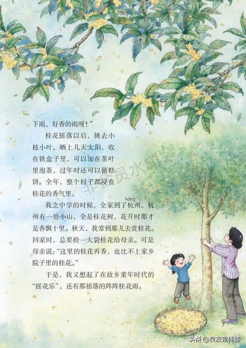 五年级上册语文电子课本,五年级上册语文教材分析