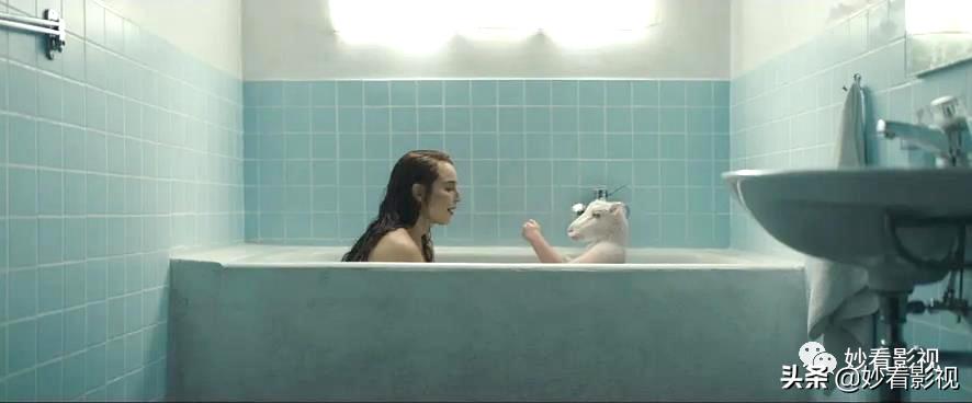 冰岛恐怖羊崽,冰岛羊崽