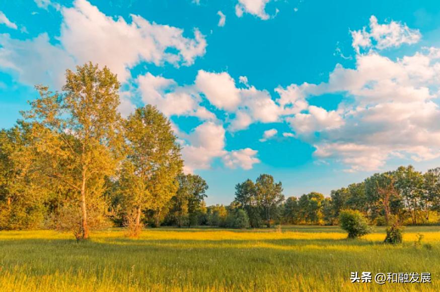 农业转型升级对标高效农业的思考,农业转型发展与乡村振兴