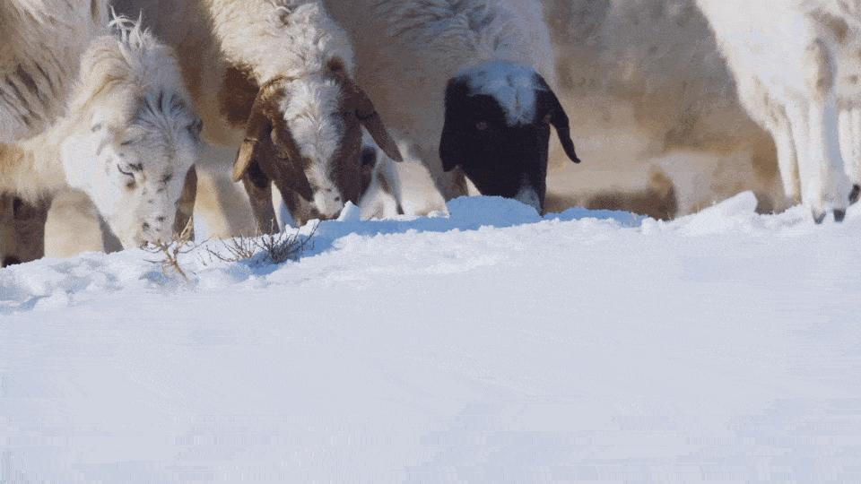 对的时间去对的地方,对的时间和对的人一起旅游